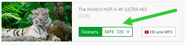 Как скачать видео с YouTube: на компьютер, Айфон и Android
