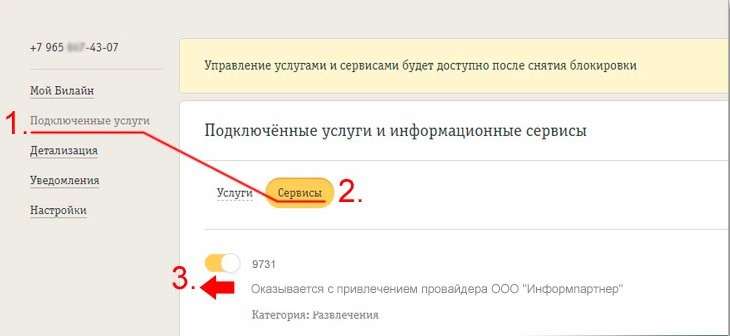 Подписка 9731 на Билайне - что это, как отключить