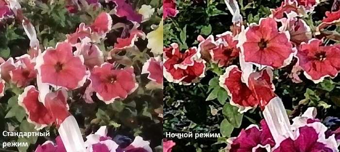 Обзор Huawei P Smart Z – безрамочность в массы