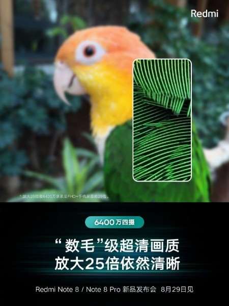 Xiaomi раскрыла еще одну фишку камеры Redmi Note 8