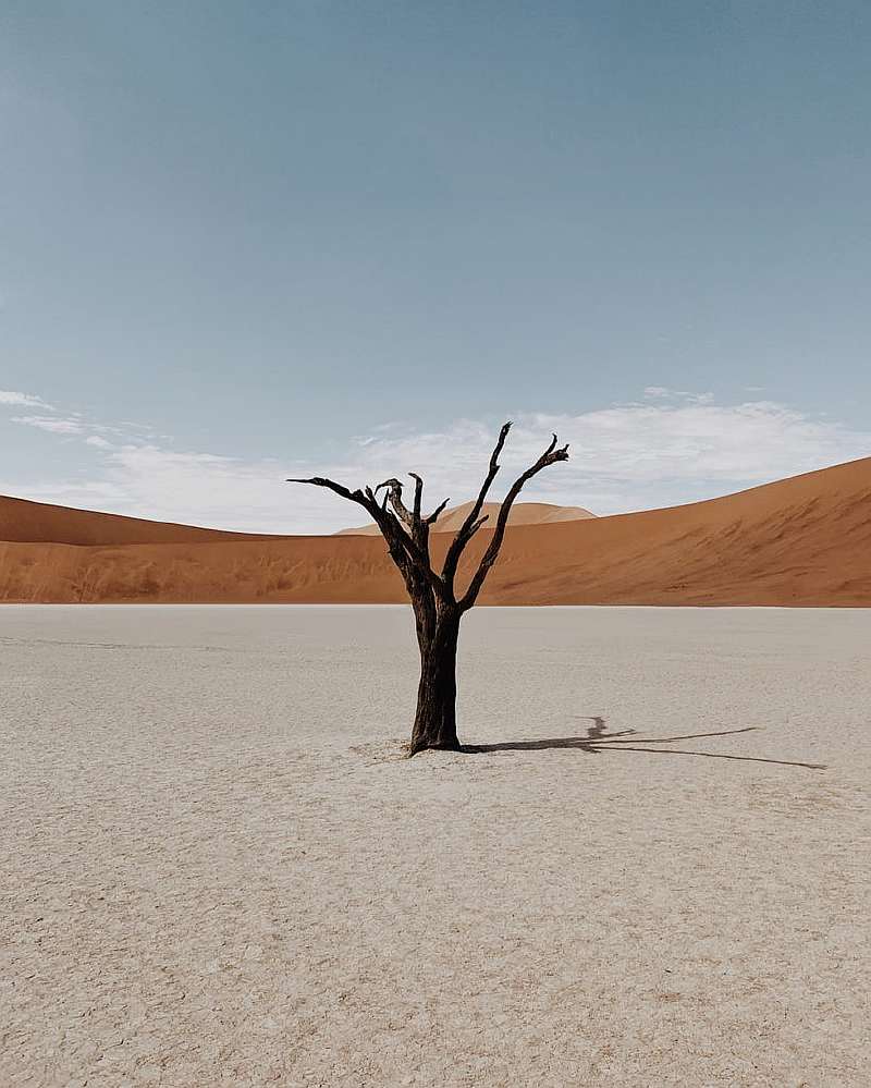 Лучшее из мобильной фотографии. Самые красивые снимки на смартфон 2019 года.