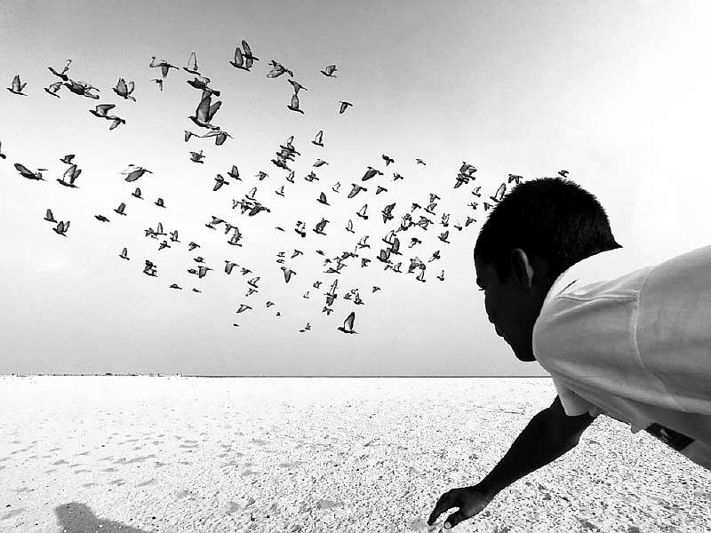 Лучшее из мобильной фотографии. Самые красивые снимки на смартфон 2019 года.