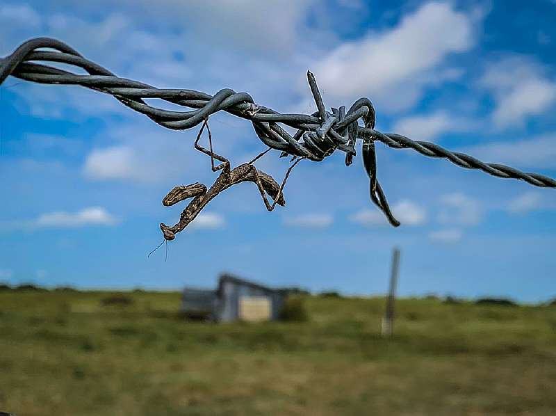 Лучшее из мобильной фотографии. Самые красивые снимки на смартфон 2019 года.