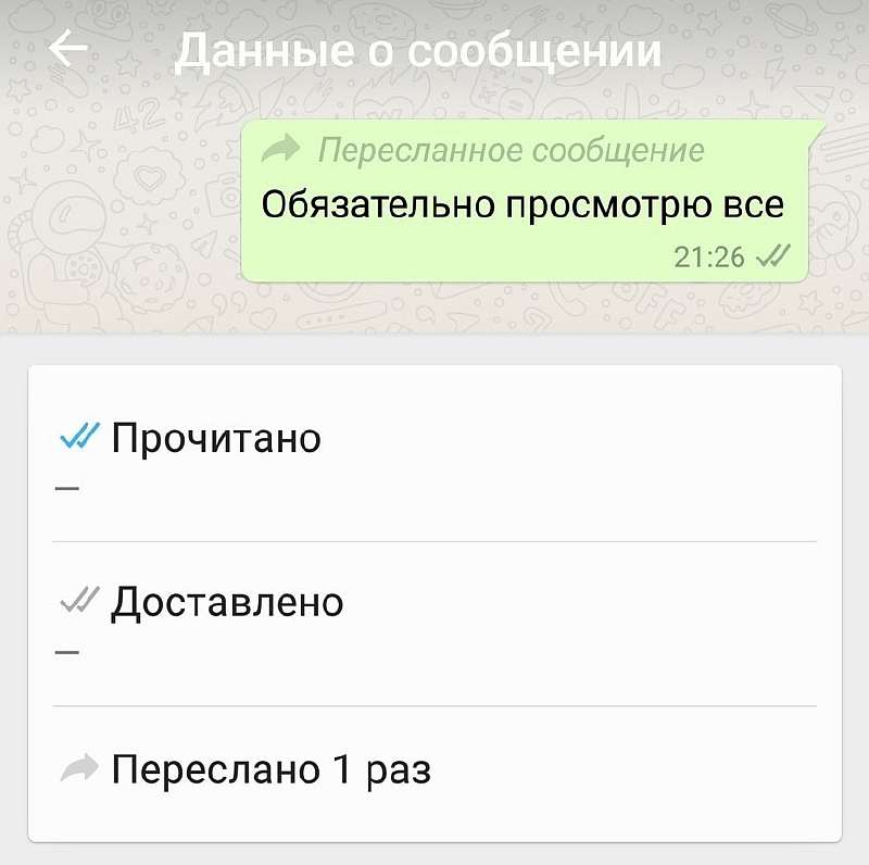 7 полезнейших фишек Whatsapp, о которых мало кто знает