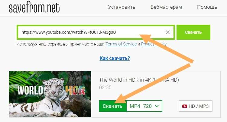Простой способ быстро скачать с YouTube любое видео