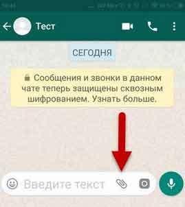 Как узнать местоположение человека через WhatsApp