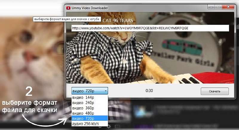 Простой способ быстро скачать с YouTube любое видео