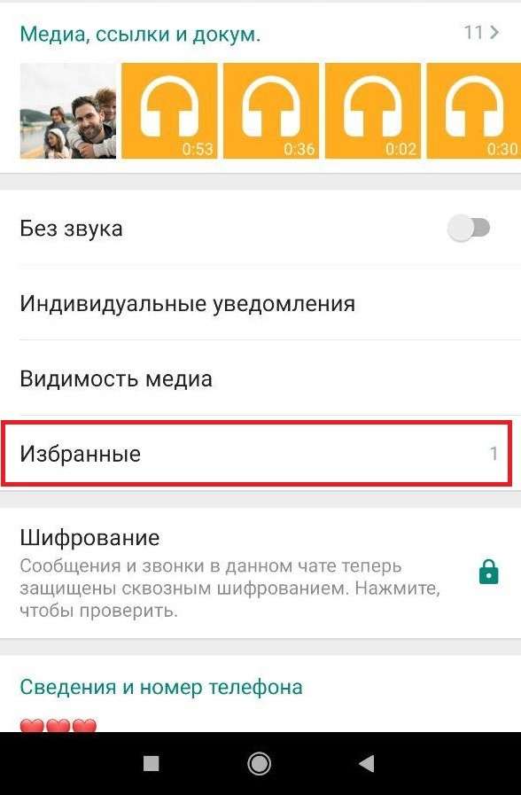 10 крутых фишек WhatsApp, о которых вы даже не догадывались