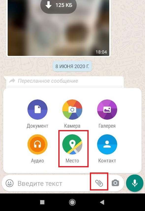 10 крутых фишек WhatsApp, о которых вы даже не догадывались