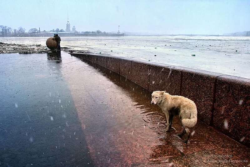Как выглядит Россия на самом деле: 100 честных снимков уличного фотографа