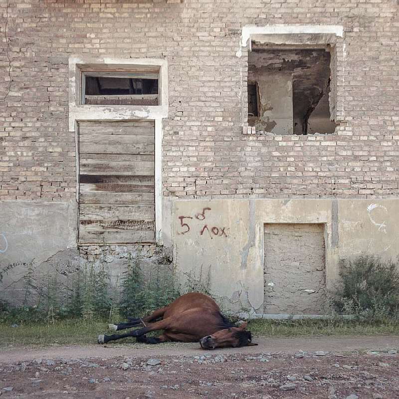 Уличный фотограф показал настоящую Россию. 75 честных снимков жизни за МКАДом