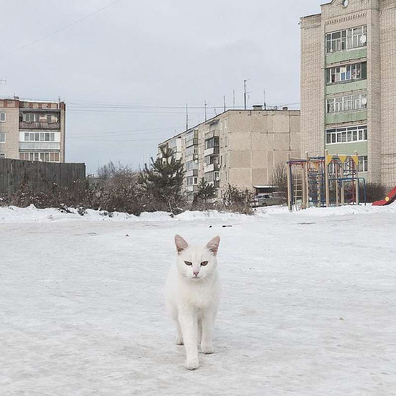 Уличный фотограф показал настоящую Россию. 75 честных снимков жизни за МКАДом