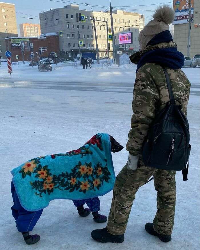 30 фото, показывающих, как невообразимо холодно сейчас в Сибири