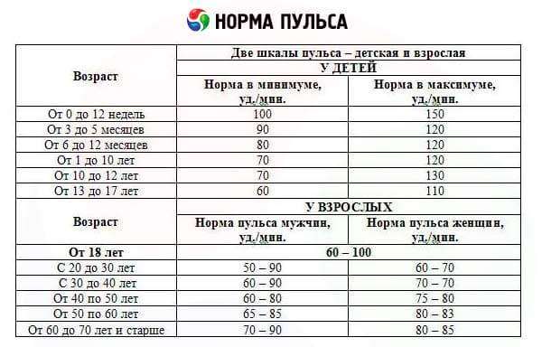 Какой пульс должен быть у здорового человека и как его измерять