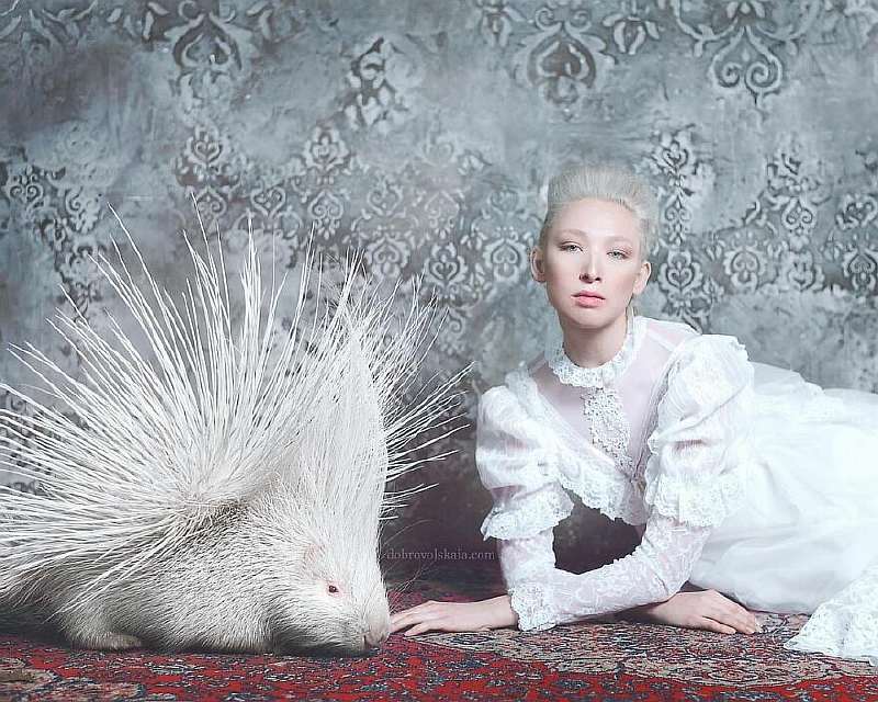 Уникальная связь людей и животных: 45 потрясных снимков российского фотографа