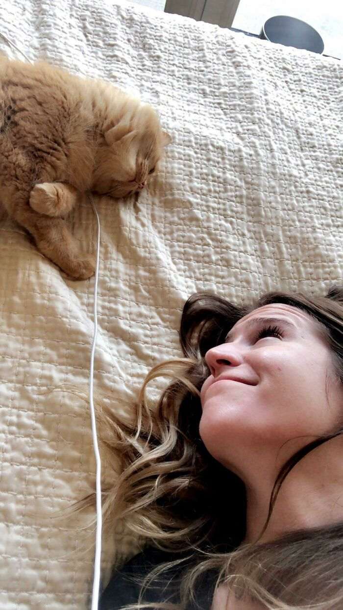 55 кошек и собак, которые смотрят на хозяев с невероятной любовью. Вот она преданность!