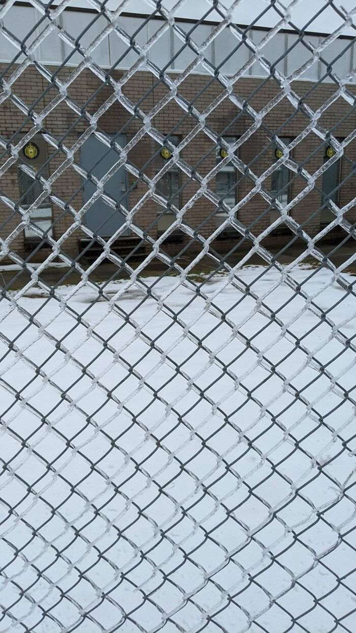 45 удивительных вещей, созданных природой, в которые даже поверить трудно