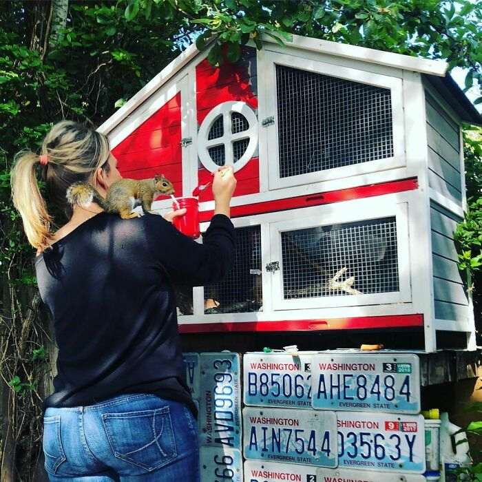 Девушка спасла и вырастила очаровательного бельчонка. Теперь это ее главный друг