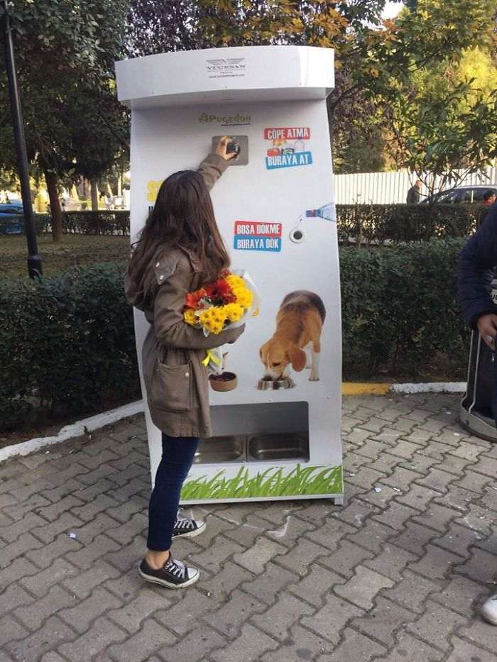 30 удивительных фактов о собаках, которые мало кому известны