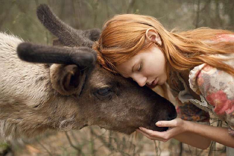 Волшебное единство животных и людей: 40 фотографий от девушки из России