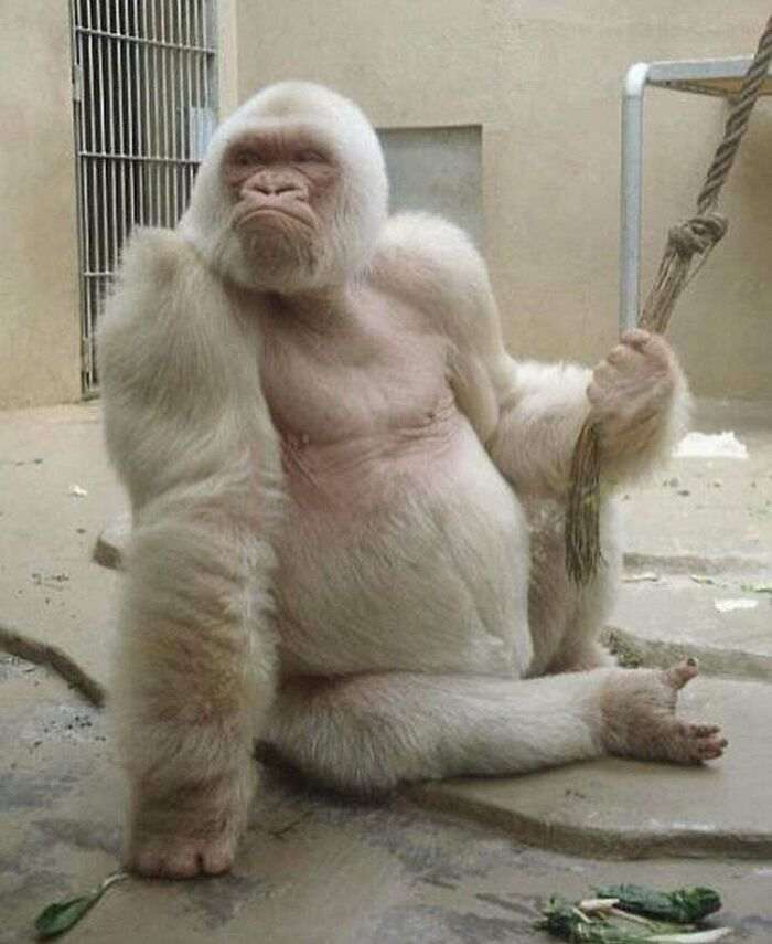 45 вещей с необычайно редким цветом. Единственные экземпляры в природе!