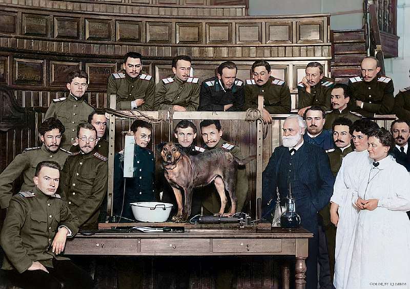 История оживает в цвете! Посмотрите, какие чудеса творит со старинными фотографиями мастерица из России