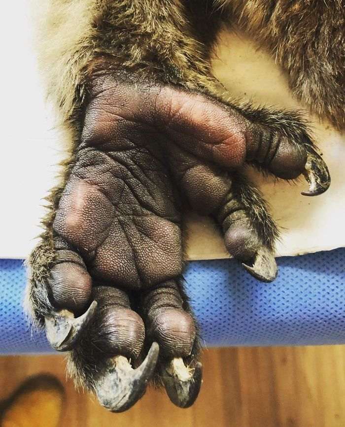 46 удивительных вещей, созданных природой, которые стоит увидеть хотя бы на фотографиях