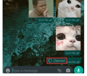 Как включить исчезающие сообщения в WhatsApp: подробная инструкция