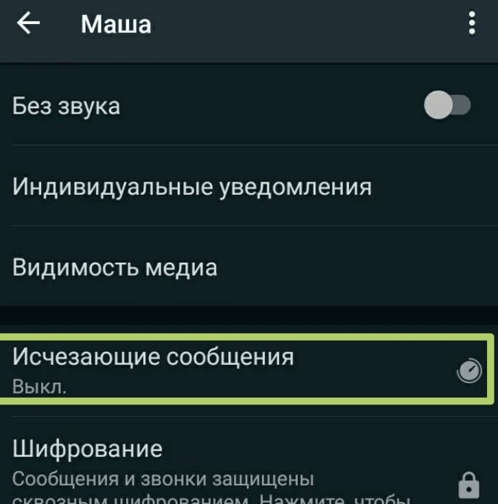 Как включить исчезающие сообщения в WhatsApp: подробная инструкция