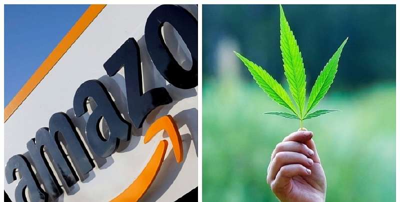 Amazon лоббирует легализацию марихуаны в США. Зачем это нужно корпорации?