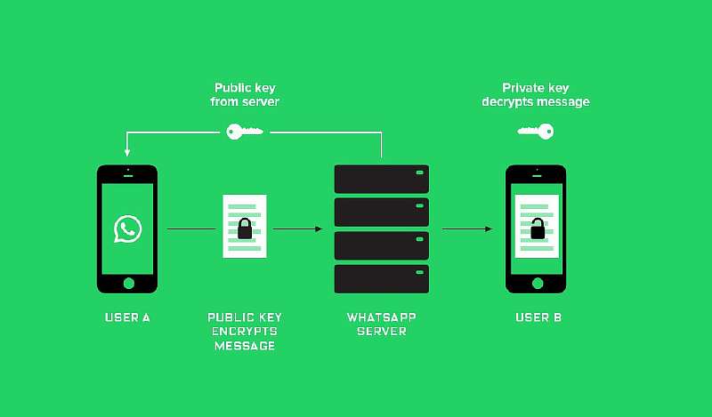 Новый скандал вокруг WhatsApp: мессенджер расшифровывает и читает личные сообщения пользователей