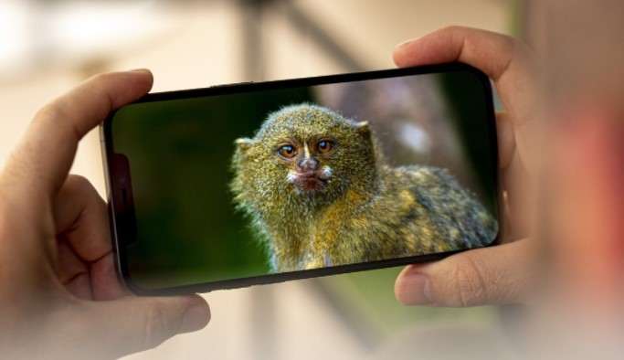 Мегафон распродает бескомпромиссный iPhone 12 Pro. Таких скидок еще не было