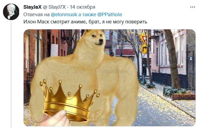 Илон Маск назвал свои любимые аниме. Фанаты ворчат, миллиардера сочли поверхностным
