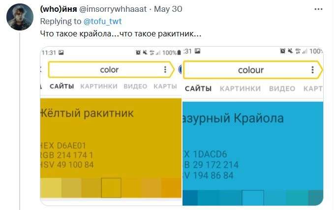 Зачем все ищут в Яндексе слово «цвет»? В соцсетях новый флешмоб