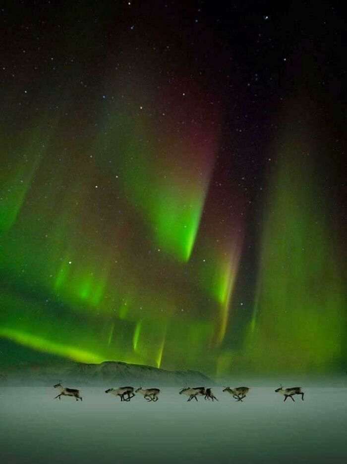 35 удивительных вещей, созданных природой, которые показали на редких фотографиях