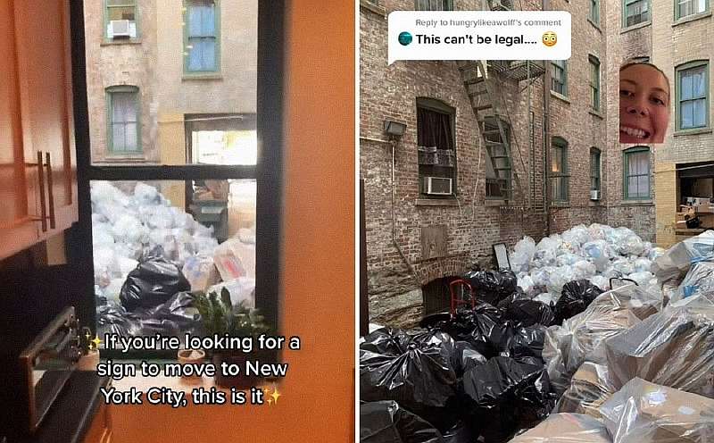 Девушка сняла квартиру за $1575/месяц, и ужаснула TikTok видом из окна