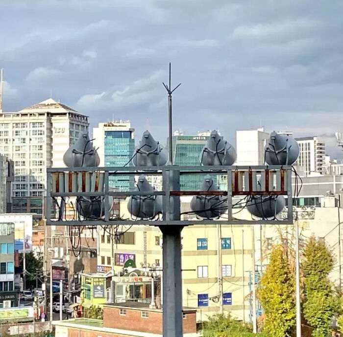 В чем подвох? 25 фото, которые трудно понять с первого раза