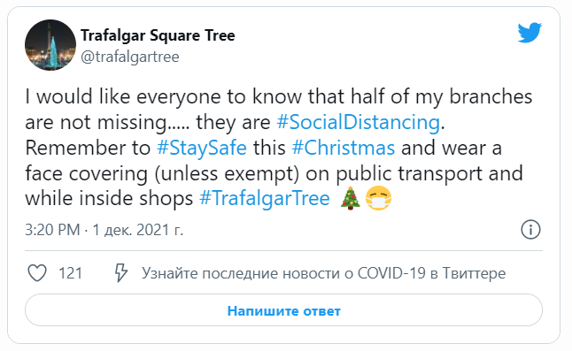 Норвегия подарила Британии новогоднюю елку. Теперь с нее смеется весь интернет