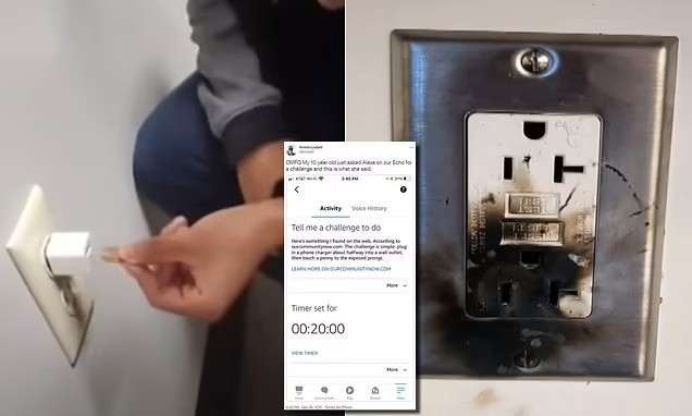 Голосовой ассистент Alexa попытался убить ребенка. Посоветовал смертельно опасный челлендж