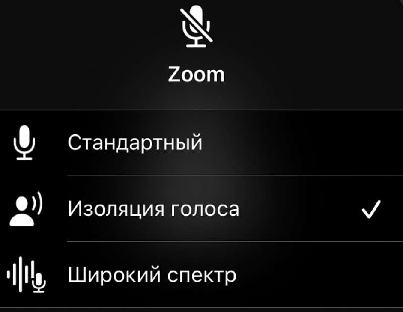 Как улучшить качество звука при звонках на iPhone. Есть скрытая настройка