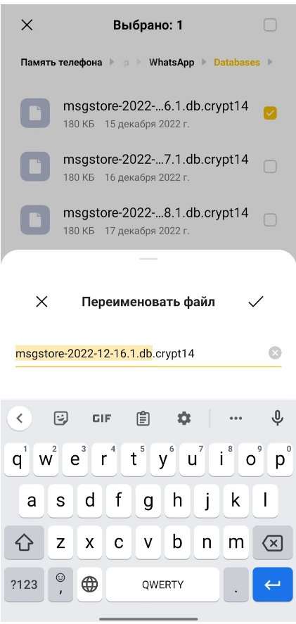 Все способы восстановить переписку в WhatsApp после удаления. Пошаговая инструкция