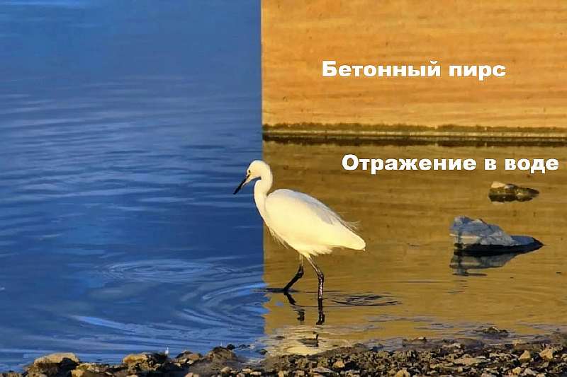 Это не фотошоп. В сети завирусилась фотография, которая заставляет мозги «вскипеть»