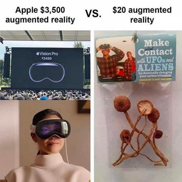 Илон Маск потроллил Apple из-за дорогущих очков дополненной реальности Vision Pro