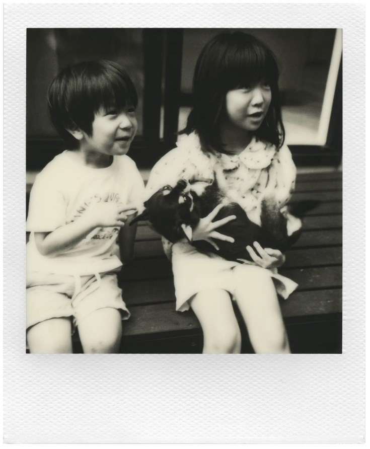 Представлен Polaroid I-2: самый мощный и дорогой фотоаппарат мгновенной печати