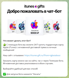 App Store & iTunes